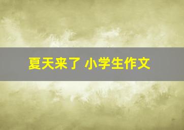 夏天来了 小学生作文